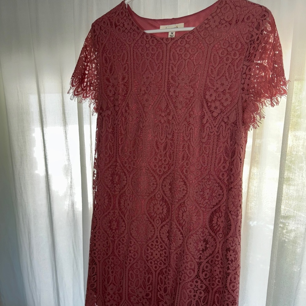 Francesca's dress, Lace in Blush Pink